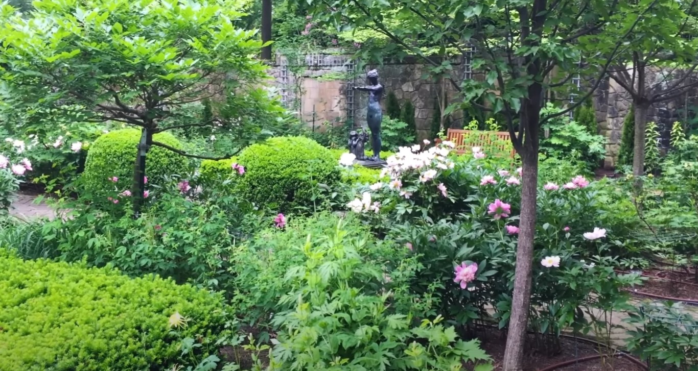 Lush garden featuring native California plants and mature trees in Florin, CA